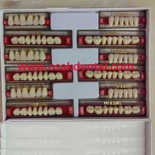 Европейские качественные трехслойные стоматологические накладные зубы / Стоматологические синтетические зубы / Зубы из акриловой смолы