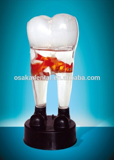 Маленькая миска для рыбы/стоматологическое украшение/стоматологические подарки/стоматологические культурные товары