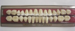 CE, ISO Стоматологические керамические накладные зубы с хорошим качеством