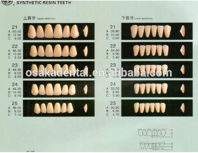 Горячие продажи Стоматологические Ложные Зубы / Стоматологические Синтетические Зубы / Зубы из акриловой смолы