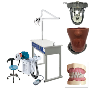 Стоматологическое электрическое моделирование для 1 студента и работы в четыре руки