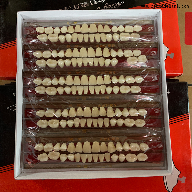 Композитный материал Стоматологические зубы из акриловой смолы