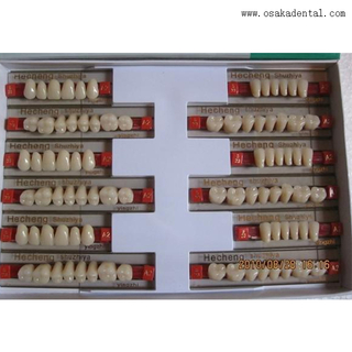 Стоматологические смолы ариловые зубы OSA-A-ZOLES3