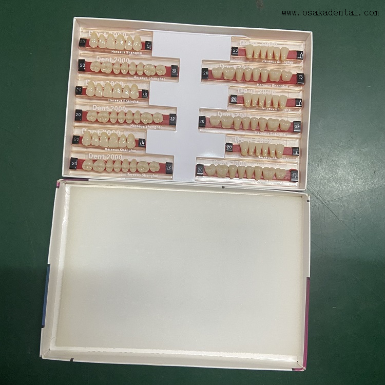 Зубы из смолы Dental Heraeus 2000