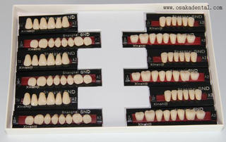 Европейский Качество Стоматологический Ресинтет Полный комплект ОСА-Зубки-ЕС