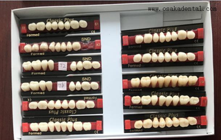 Европейская качественная стоматологическая смола зубов задние зубы OSA-зубов-ЕС