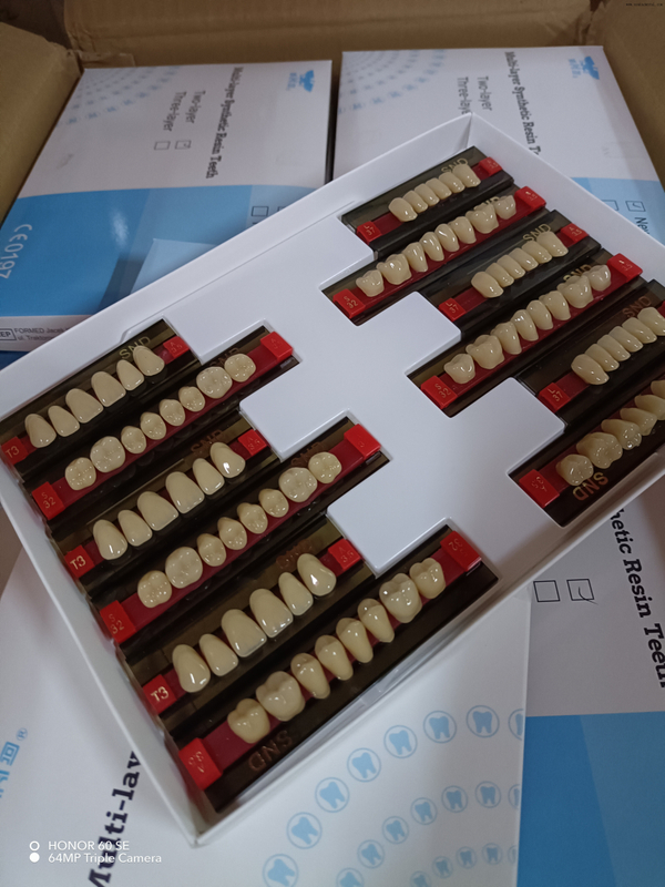 Высококачественные двухцветные зубы из пластмассы для естественного вида зубных протезов