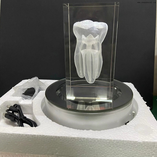 Форма зубов для украшения стоматологической клиники