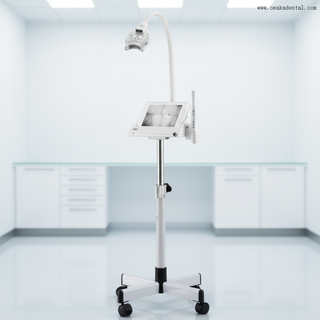 Профессиональный светодиодный аппарат для отбеливания зубов с регулируемой интенсивностью холодного света, быстрое удаление пятен, безопасный уход за полостью рта