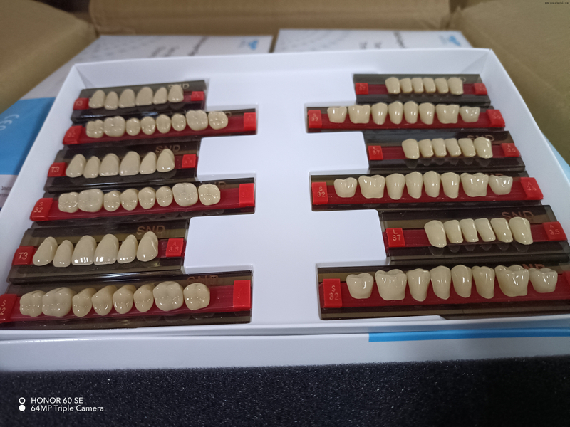 Высококачественные двухцветные зубы из пластмассы для естественного вида зубных протезов