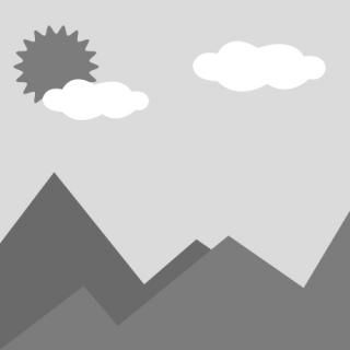 Специальные одноразовые стоматологические файлы Niti